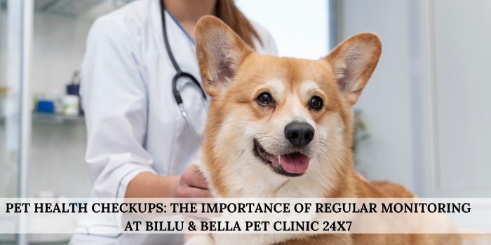 Pet Health Checkups