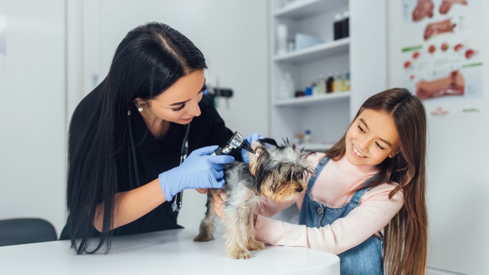 Common Mistakes Pet Parents Make While Ignoring Vet Visits