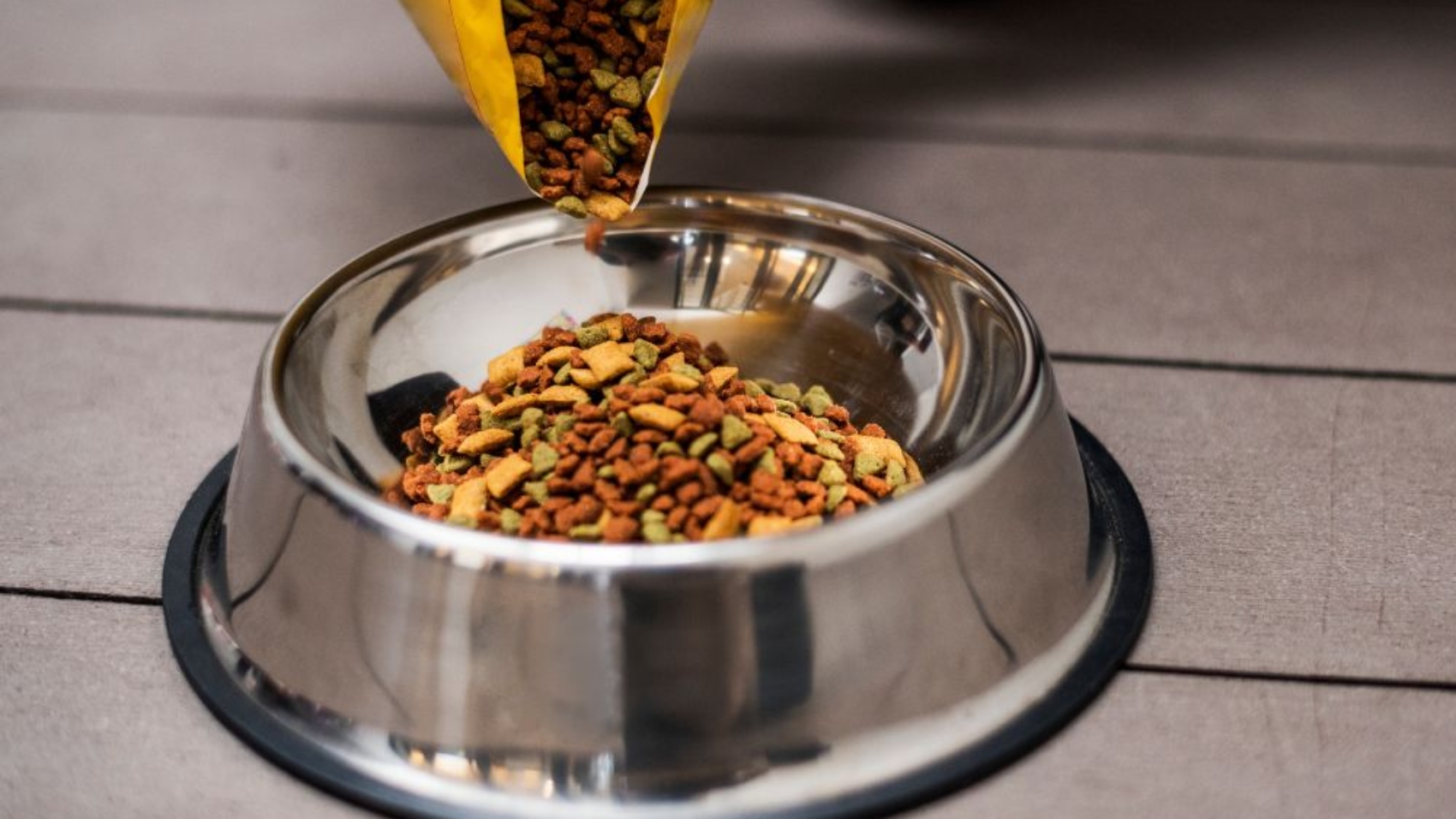 How to Choose the Right Food for Your Dog or Cat