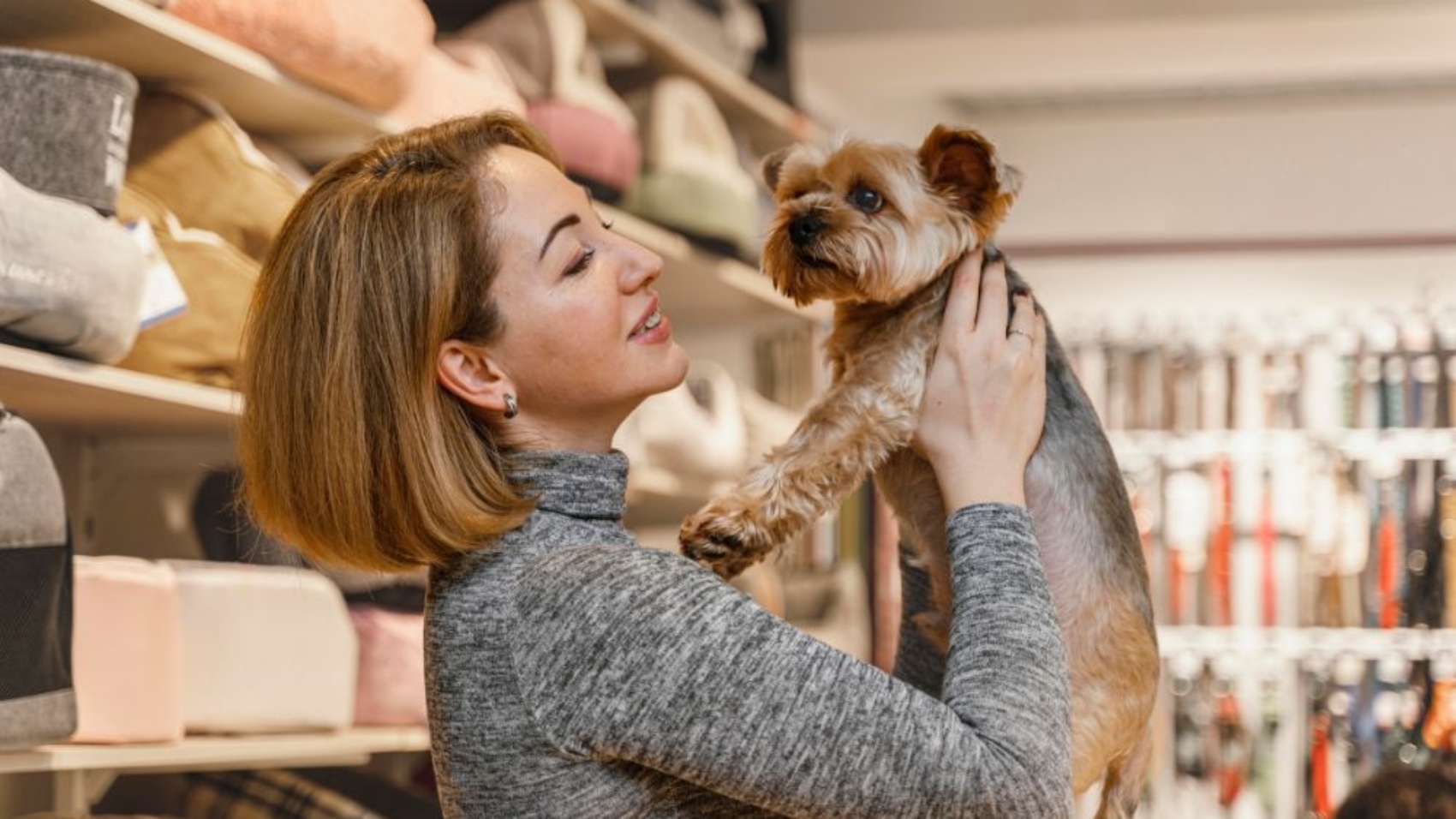 Why Local Pet Shops in Dwarka Are Better Than Online Stores