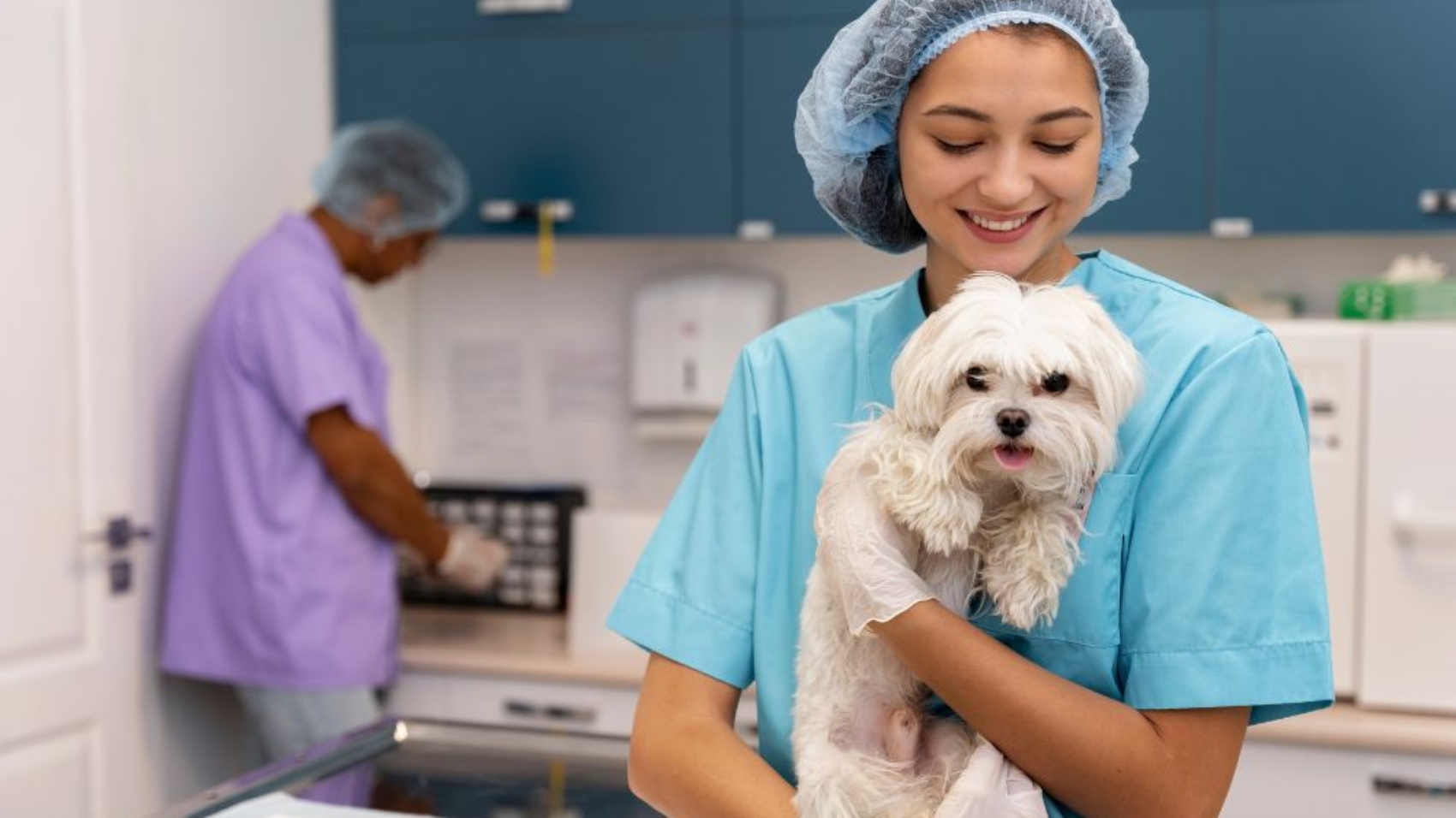 How Pet Shop in Dwarka Support Better Pet Nutrition