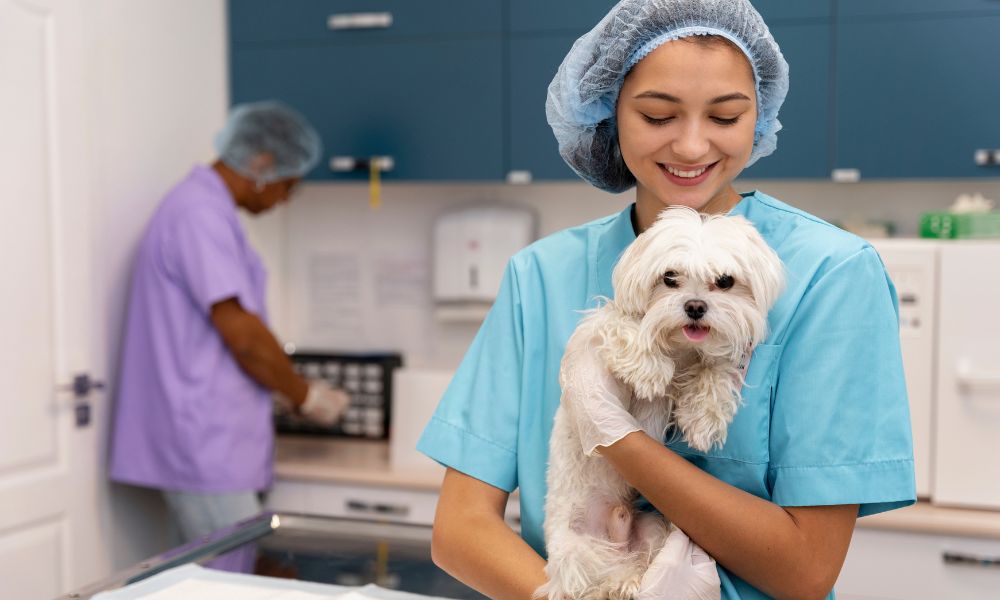 How Pet Shop in Dwarka Support Better Pet Nutrition
