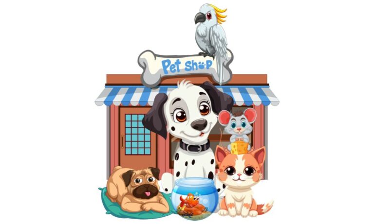 Top Things to Check Before Buying from a Pet Shop in Dwarka