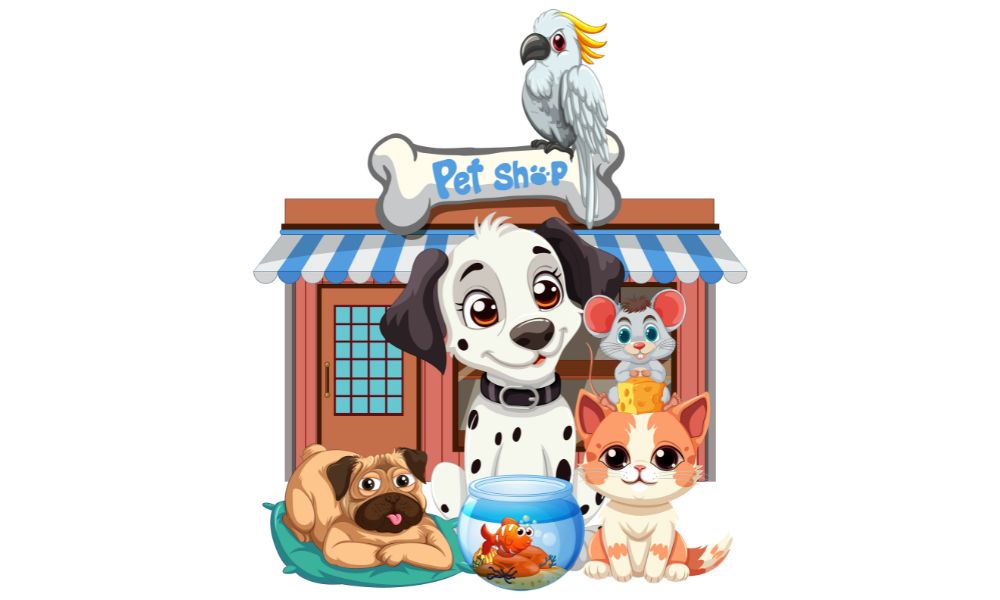 Top Things to Check Before Buying from a Pet Shop in Dwarka