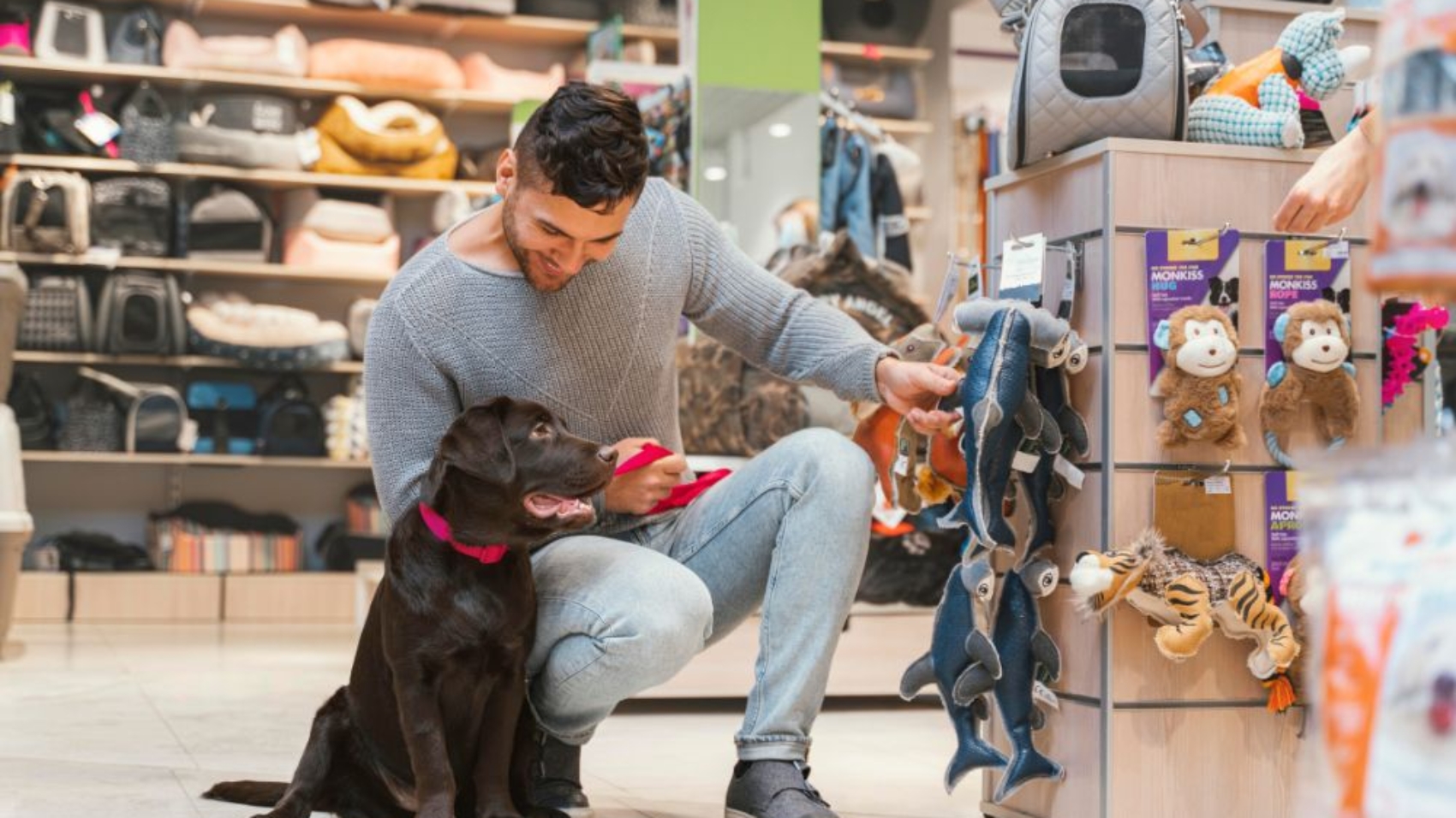 Why Local Pet Shops in Dwarka Are Better for Your Pet’s Health