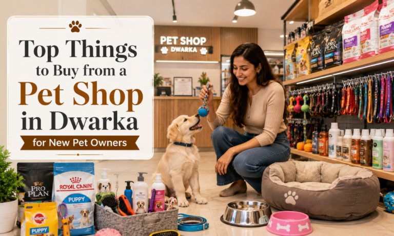Top Things to Buy from a Pet Shop in Dwarka for New Pet Owners