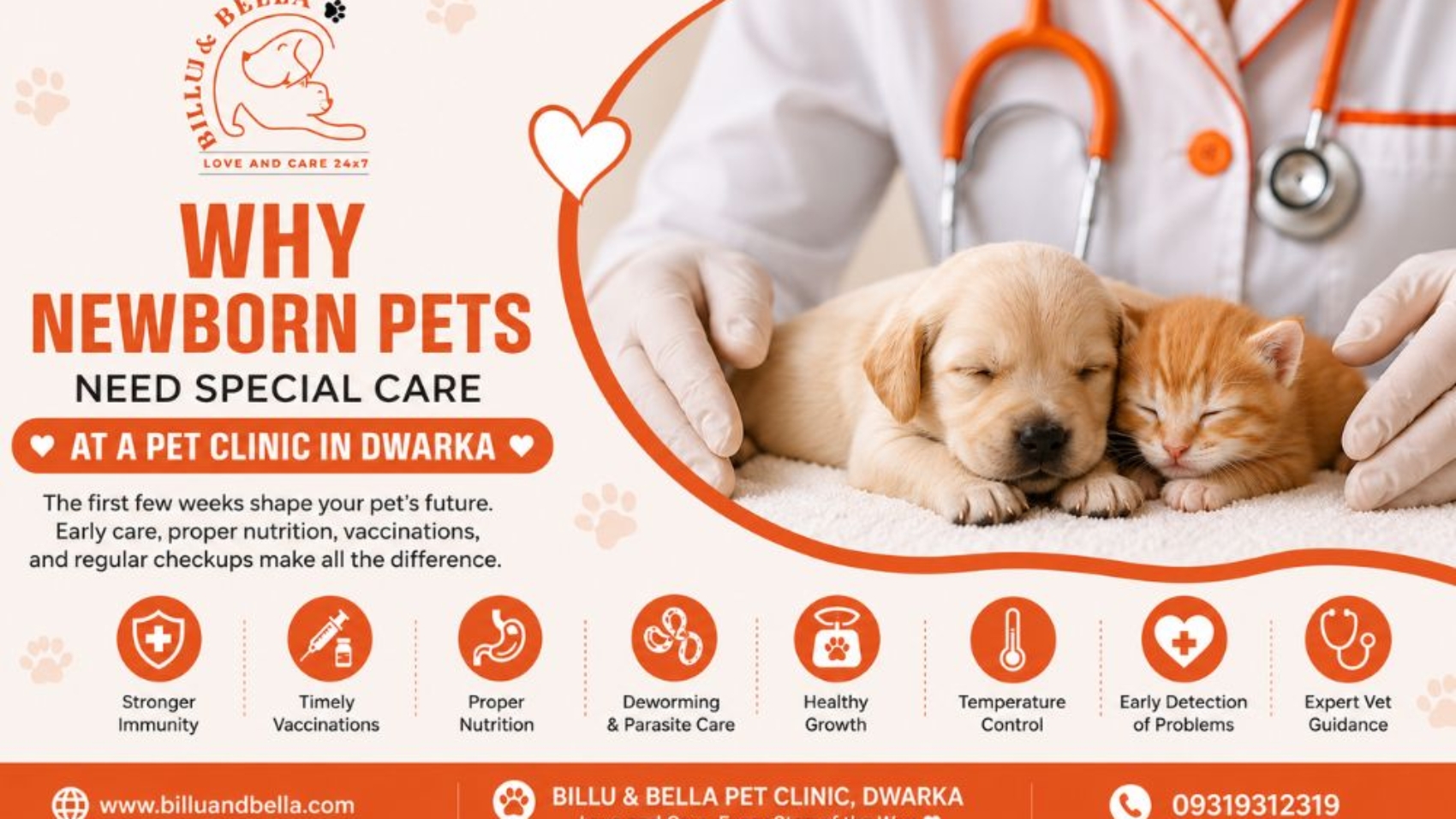 Why Newborn Pets Need Special Care at a Pet Clinic in Dwarka
